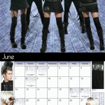 calendar-ls-2009-jun-cybertronic-ragdoll